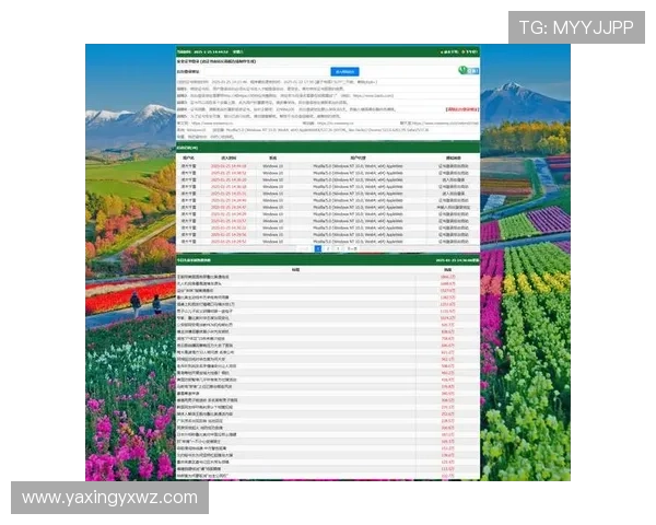 亚星官方网登录官方入口地址,快速找到官方登录页面的方法 亚星官方网登录官方入口地址,快速找到官方登录页面的方法