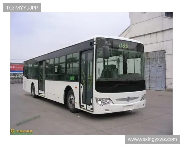 亚星官网正网最新公告及登录指南，全面解析亚星官网正网的使用方法与最新动态