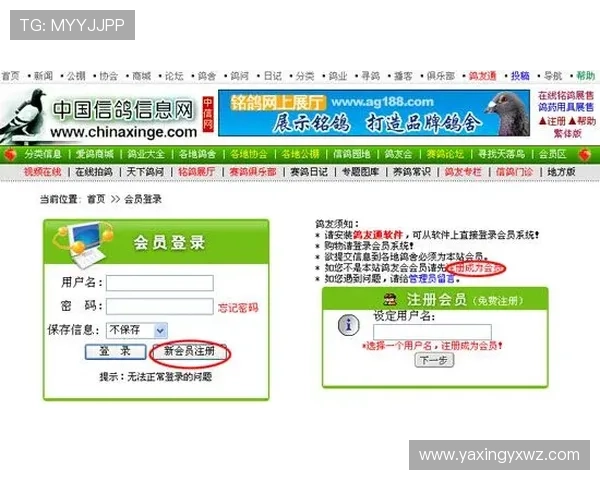 亚星平台会员注册入口最新入口地址及操作步骤详解