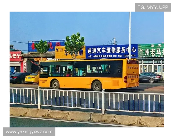 亚星手机版官方登录入口最新更新版本信息及使用技巧分享