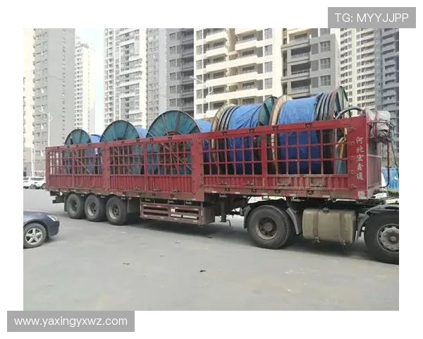 了解亚星线缆股份有限公司在网络游戏行业中的客户服务体系与技术支持优势