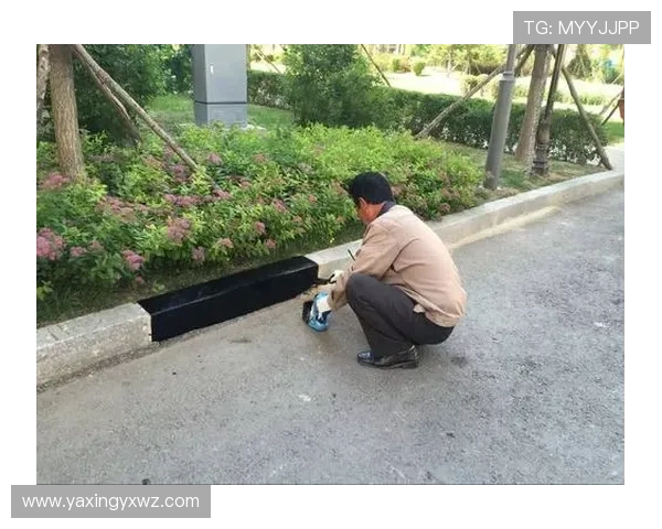 亚星国际嘉园物业电话维护与维修服务流程详解，帮助业主快速获得专业维修支持