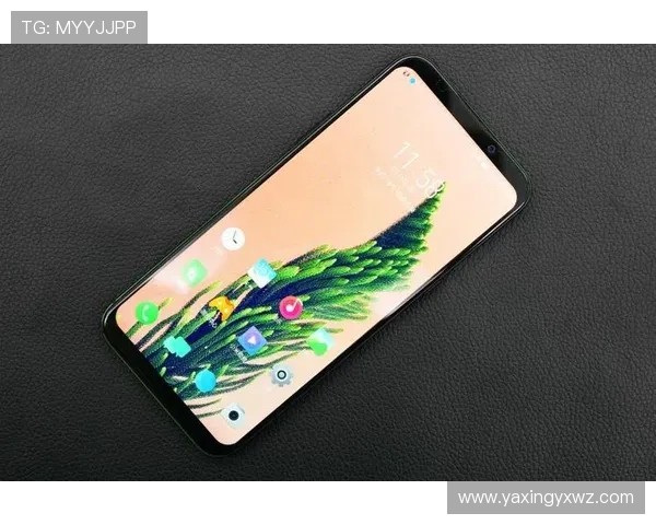 亚星在线手机版官网最新版本下载，确保安全稳定的游戏体验和优质服务